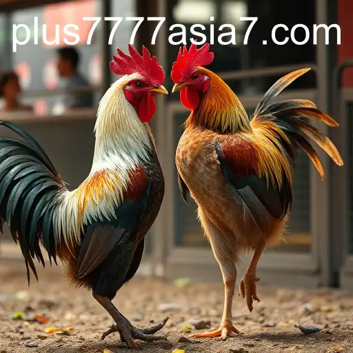 Exploring Online Sabong: Innovations and Impact of Plus7777 Asia